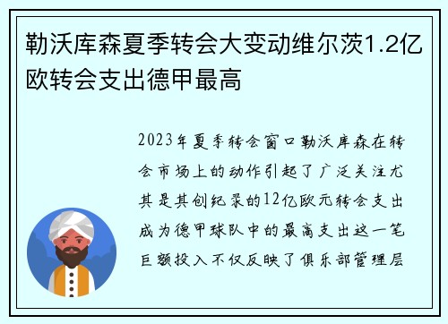 勒沃库森夏季转会大变动维尔茨1.2亿欧转会支出德甲最高